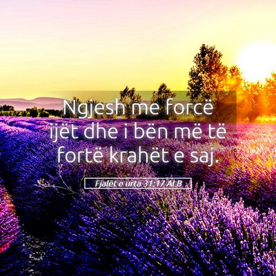 Picture 05 - Fjalët e urta 31:17 ALB - Ngjesh me forcë ijët dhe i bën më të fortë - Bible Verse Picture