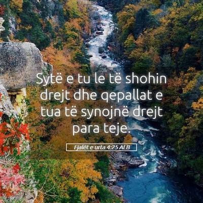 Picture 05 - Fjalët e urta 4:25 ALB - Sytë e tu le të shohin drejt dhe qepallat e tua - Bible Verse Picture