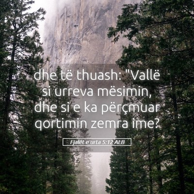 Picture 05 - Fjalët e urta 5:12 ALB - dhe të thuash: 
