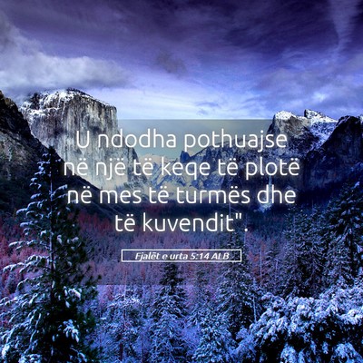 Picture 05 - Fjalët e urta 5:14 ALB - U ndodha pothuajse në një të keqe të plotë - Bible Verse Picture
