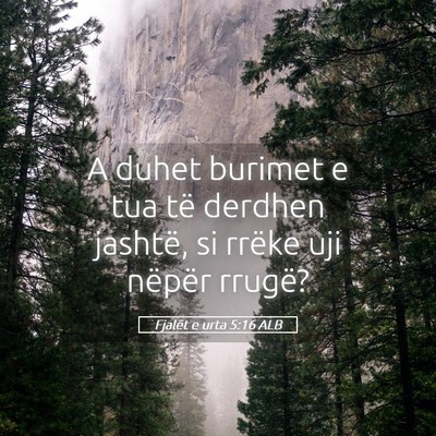 Picture 05 - Fjalët e urta 5:16 ALB - A duhet burimet e tua të derdhen jashtë, si - Bible Verse Picture