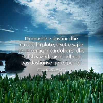 Picture 05 - Fjalët e urta 5:19 ALB - Drenushë e dashur dhe gazelë hirplotë, sisët - Bible Verse Picture