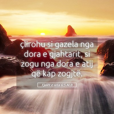 Picture 05 - Fjalët e urta 6:5 ALB - çlirohu si gazela nga dora e gjahtarit, si zogu - Bible Verse Picture