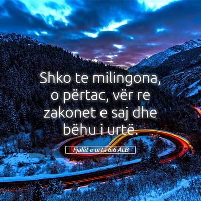 Picture 05 - Fjalët e urta 6:6 ALB - Shko te milingona, o përtac, vër re zakonet e - Bible Verse Picture