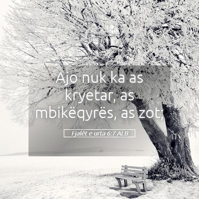 Picture 05 - Fjalët e urta 6:7 ALB - Ajo nuk ka as kryetar, as mbikëqyrës, as - Bible Verse Picture