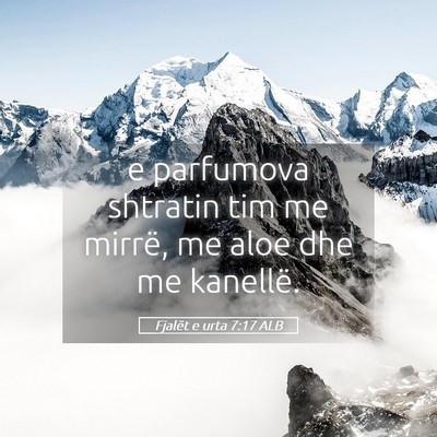 Picture 05 - Fjalët e urta 7:17 ALB - e parfumova shtratin tim me mirrë, me aloe dhe - Bible Verse Picture