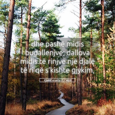 Picture 05 - Fjalët e urta 7:7 ALB - dhe pashë midis budallenjve; dallova midis të - Bible Verse Picture