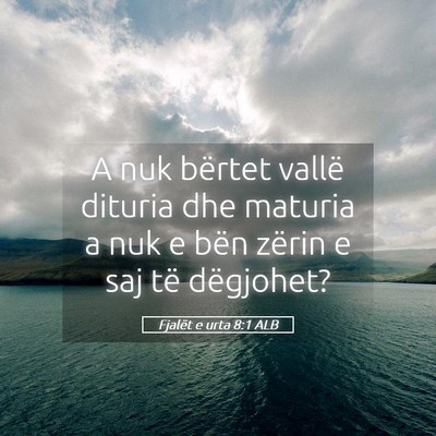 Picture 05 - Fjalët e urta 8:1 ALB - A nuk bërtet vallë dituria dhe maturia a nuk e - Bible Verse Picture