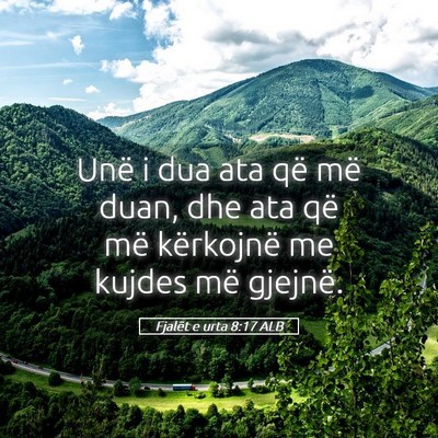 Picture 05 - Fjalët e urta 8:17 ALB - Unë i dua ata që më duan, dhe ata që më - Bible Verse Picture