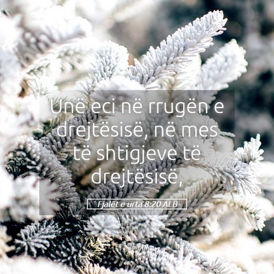 Picture 05 - Fjalët e urta 8:20 ALB - Unë eci në rrugën e drejtësisë, në mes të - Bible Verse Picture