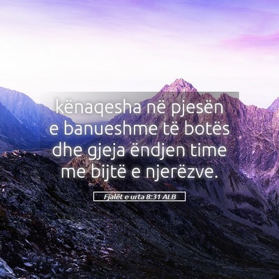 Picture 05 - Fjalët e urta 8:31 ALB - kënaqesha në pjesën e banueshme të botës dhe - Bible Verse Picture