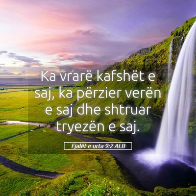 Picture 05 - Fjalët e urta 9:2 ALB - Ka vrarë kafshët e saj, ka përzier verën e - Bible Verse Picture