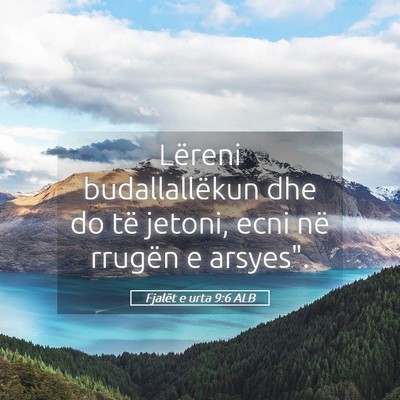 Picture 05 - Fjalët e urta 9:6 ALB - Lëreni budallallëkun dhe do të jetoni, ecni - Bible Verse Picture