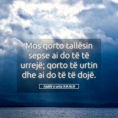 Picture 05 - Fjalët e urta 9:8 ALB - Mos qorto tallësin sepse ai do të të urrejë; - Bible Verse Picture