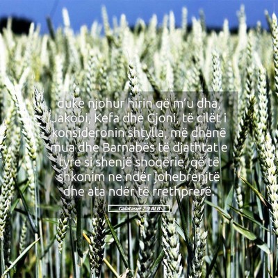 Picture 05 - Galatasve 2:9 ALB - duke njohur hirin që m’u dha, Jakobi, Kefa dhe - Bible Verse Picture