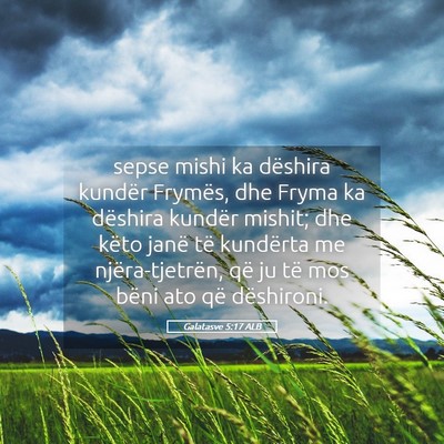 Picture 05 - Galatasve 5:17 ALB - sepse mishi ka dëshira kundër Frymës, dhe - Bible Verse Picture