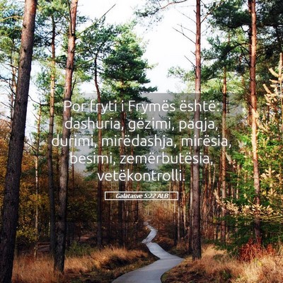Picture 05 - Galatasve 5:22 ALB - Por fryti i Frymës është: dashuria, gëzimi, - Bible Verse Picture