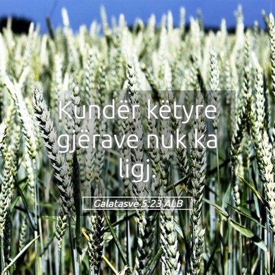 Picture 05 - Galatasve 5:23 ALB - Kundër këtyre gjërave nuk ka - Bible Verse Picture