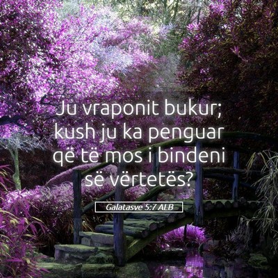 Picture 05 - Galatasve 5:7 ALB - Ju vraponit bukur; kush ju ka penguar që të mos - Bible Verse Picture