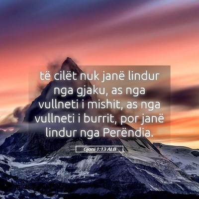Picture 05 - Gjoni 1:13 ALB - të cilët nuk janë lindur nga gjaku, as nga - Bible Verse Picture