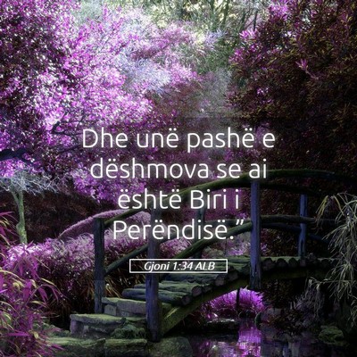 Picture 05 - Gjoni 1:34 ALB - Dhe unë pashë e dëshmova se ai është Biri i - Bible Verse Picture