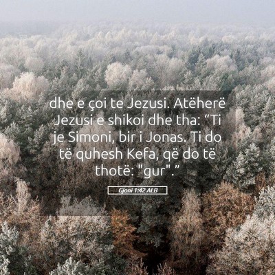 Picture 05 - Gjoni 1:42 ALB - dhe e çoi te Jezusi. Atëherë Jezusi e shikoi - Bible Verse Picture
