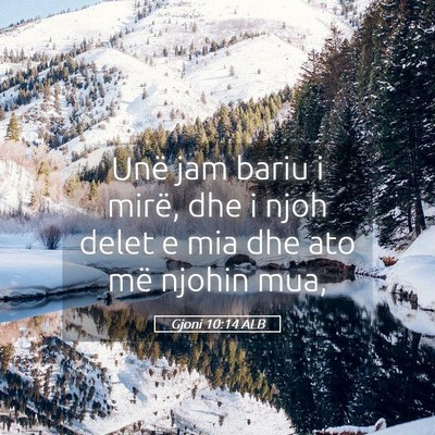Picture 05 - Gjoni 10:14 ALB - Unë jam bariu i mirë, dhe i njoh delet e mia - Bible Verse Picture