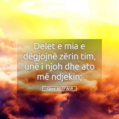 Picture 05 - Gjoni 10:27 ALB - Delet e mia e dëgjojnë zërin tim, unë i njoh - Bible Verse Picture