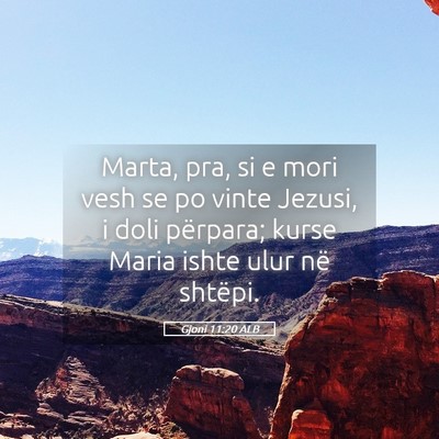 Picture 05 - Gjoni 11:20 ALB - Marta, pra, si e mori vesh se po vinte Jezusi, i - Bible Verse Picture