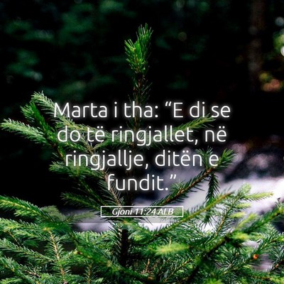 Picture 05 - Gjoni 11:24 ALB - Marta i tha: “E di se do të ringjallet, në - Bible Verse Picture
