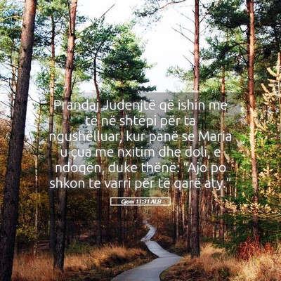 Picture 05 - Gjoni 11:31 ALB - Prandaj Judenjtë që ishin me të në shtëpi - Bible Verse Picture