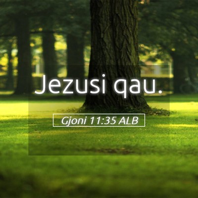 Picture 05 - Gjoni 11:35 ALB - Jezusi - Bible Verse Picture