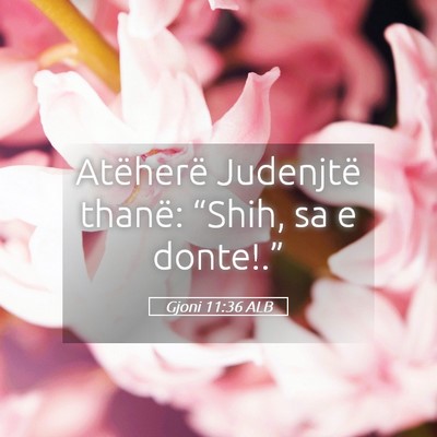 Picture 05 - Gjoni 11:36 ALB - Atëherë Judenjtë thanë: “Shih, sa e - Bible Verse Picture