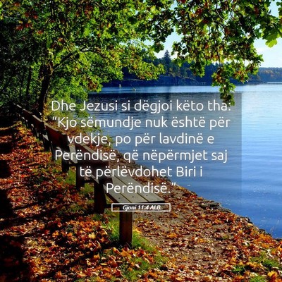 Picture 05 - Gjoni 11:4 ALB - Dhe Jezusi si dëgjoi këto tha: “Kjo sëmundje - Bible Verse Picture