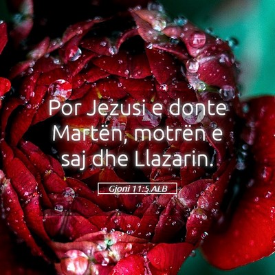Picture 05 - Gjoni 11:5 ALB - Por Jezusi e donte Martën, motrën e saj dhe - Bible Verse Picture
