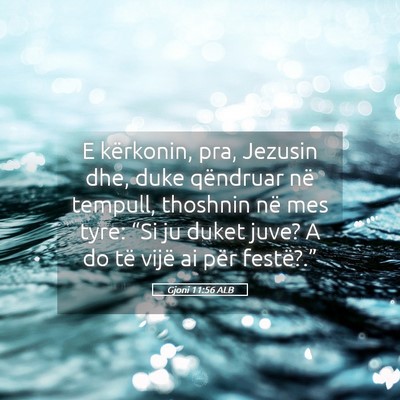 Picture 05 - Gjoni 11:56 ALB - E kërkonin, pra, Jezusin dhe, duke qëndruar në - Bible Verse Picture