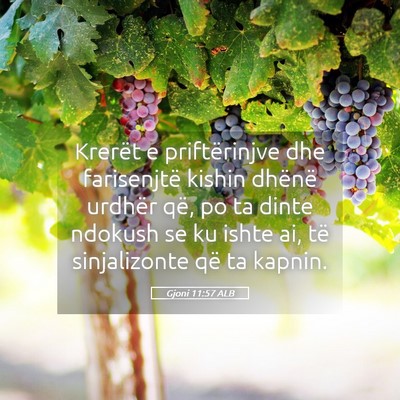 Picture 05 - Gjoni 11:57 ALB - Krerët e priftërinjve dhe farisenjtë kishin - Bible Verse Picture