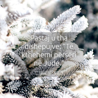 Picture 05 - Gjoni 11:7 ALB - Pastaj u tha dishepujve: “Të kthehemi - Bible Verse Picture