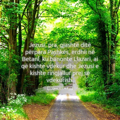 Picture 05 - Gjoni 12:1 ALB - Jezusi, pra, gjashtë ditë përpara Pashkës, - Bible Verse Picture