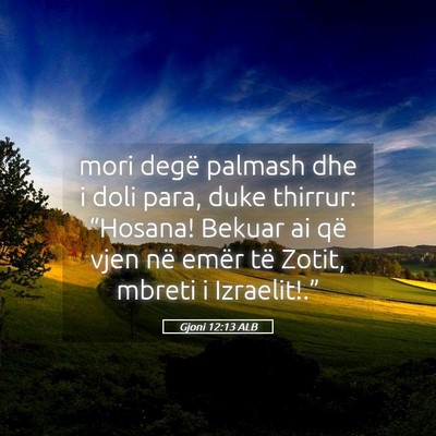 Picture 05 - Gjoni 12:13 ALB - mori degë palmash dhe i doli para, duke thirrur: - Bible Verse Picture