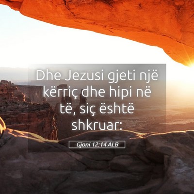 Picture 05 - Gjoni 12:14 ALB - Dhe Jezusi gjeti një kërriç dhe hipi në të, - Bible Verse Picture