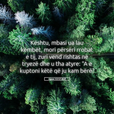 Picture 05 - Gjoni 13:12 ALB - Kështu, mbasi ua lau këmbët, mori përsëri - Bible Verse Picture