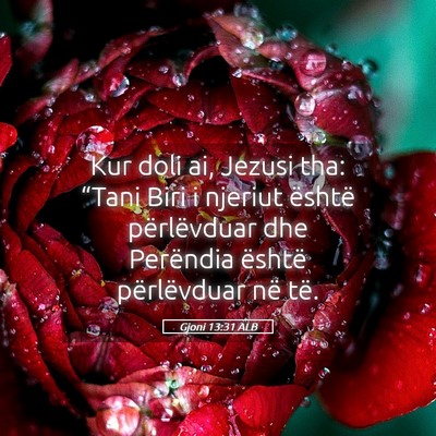 Picture 05 - Gjoni 13:31 ALB - Kur doli ai, Jezusi tha: “Tani Biri i njeriut - Bible Verse Picture