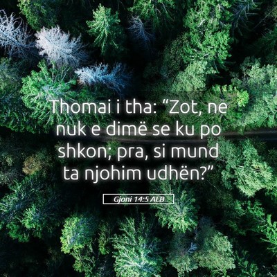 Picture 05 - Gjoni 14:5 ALB - Thomai i tha: “Zot, ne nuk e dimë se ku po - Bible Verse Picture
