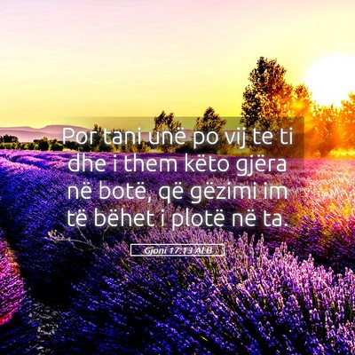 Picture 05 - Gjoni 17:13 ALB - Por tani unë po vij te ti dhe i them këto - Bible Verse Picture