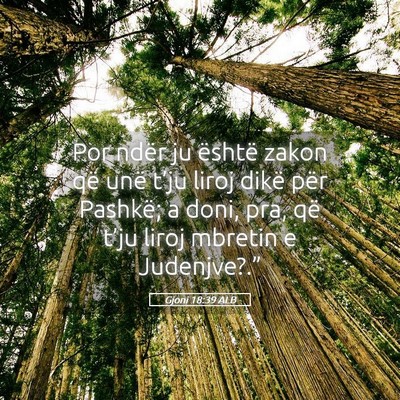 Picture 05 - Gjoni 18:39 ALB - Por ndër ju është zakon që unë t’ju liroj - Bible Verse Picture