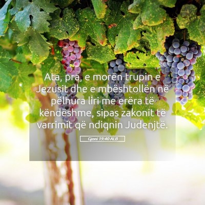 Picture 05 - Gjoni 19:40 ALB - Ata, pra, e morën trupin e Jezusit dhe e - Bible Verse Picture