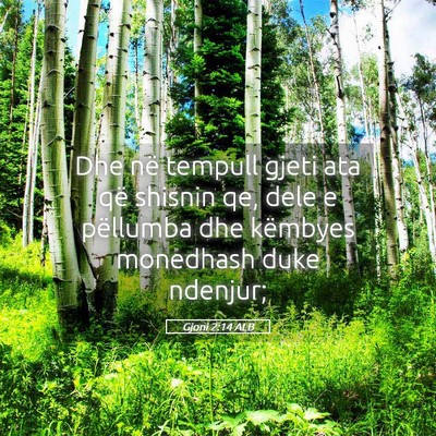 Picture 05 - Gjoni 2:14 ALB - Dhe në tempull gjeti ata që shisnin qe, dele e - Bible Verse Picture