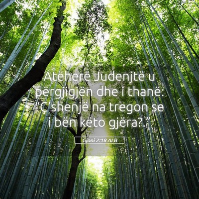Picture 05 - Gjoni 2:18 ALB - Atëherë Judenjtë u përgjigjën dhe i thanë: - Bible Verse Picture