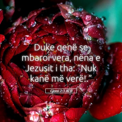Picture 05 - Gjoni 2:3 ALB - Duke qenë se mbaroi vera, nëna e Jezusit i tha: - Bible Verse Picture